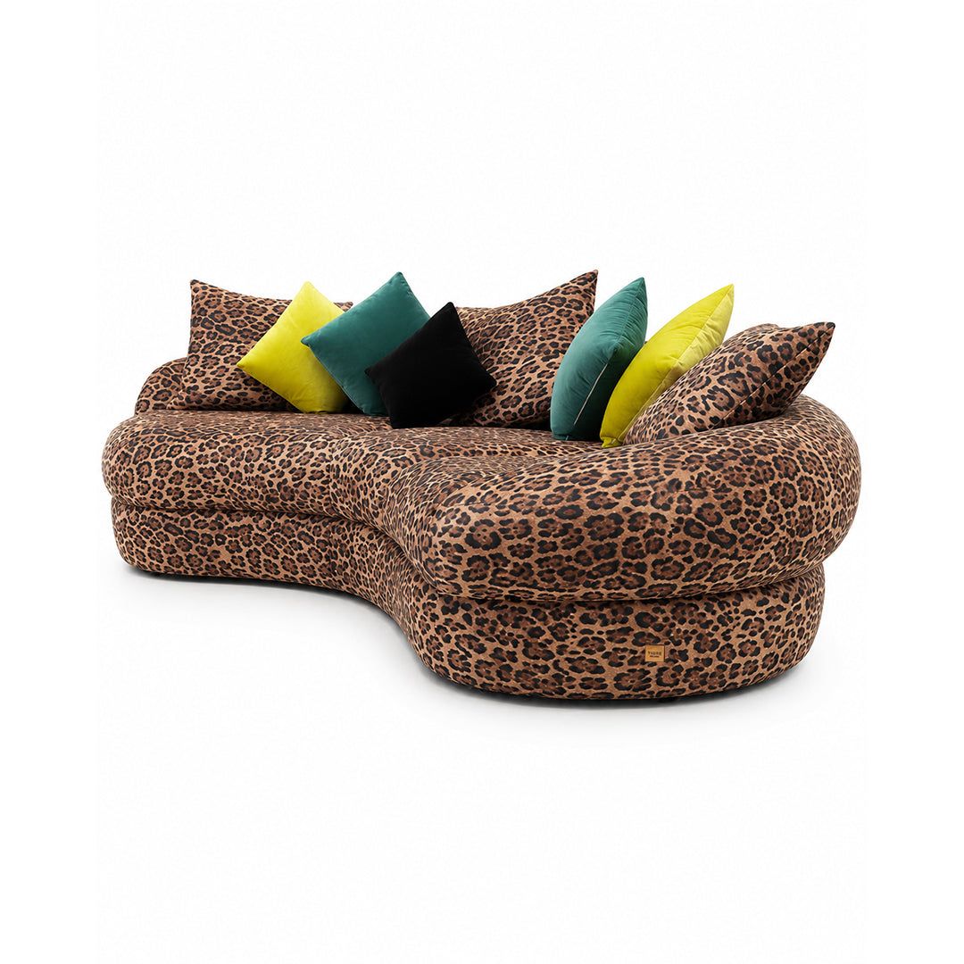 Furniture Sofa